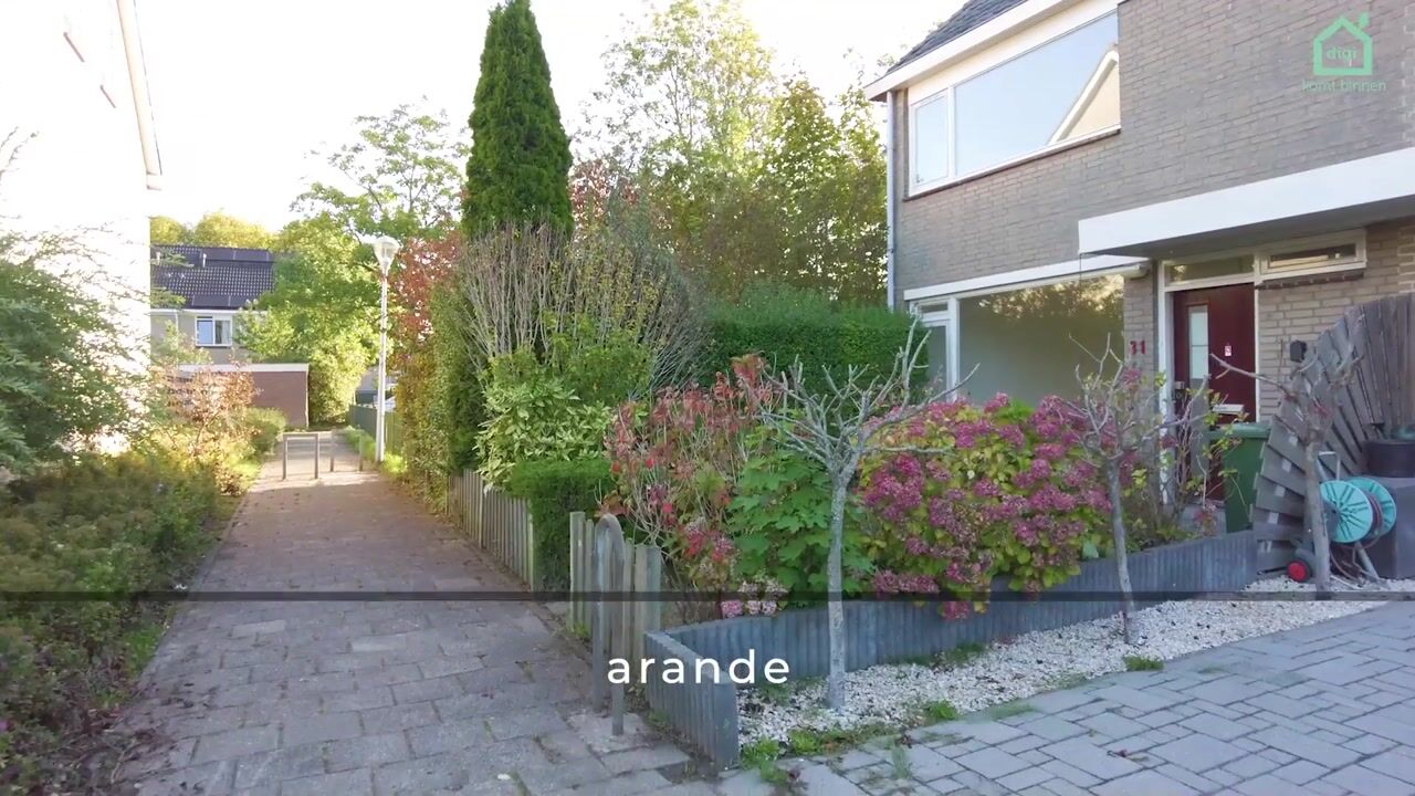 Video van Warande 31