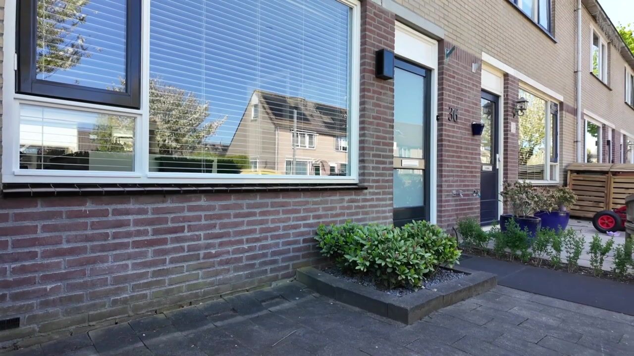 Video van Dasseburcht 36