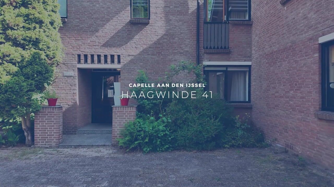 Video van Haagwinde 41