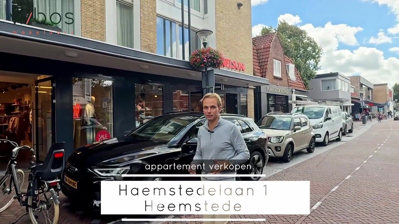 Video van Haemstedelaan 1