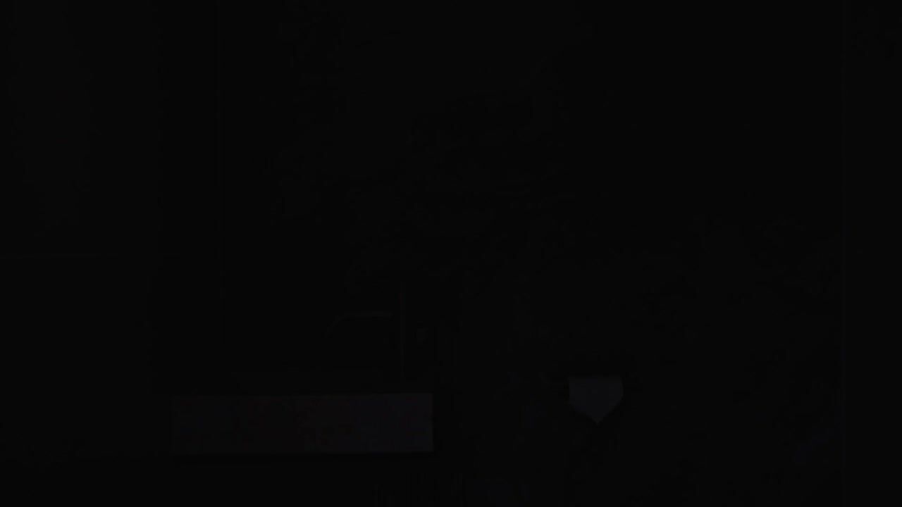 Video van Prof. Lorentzlaan 32