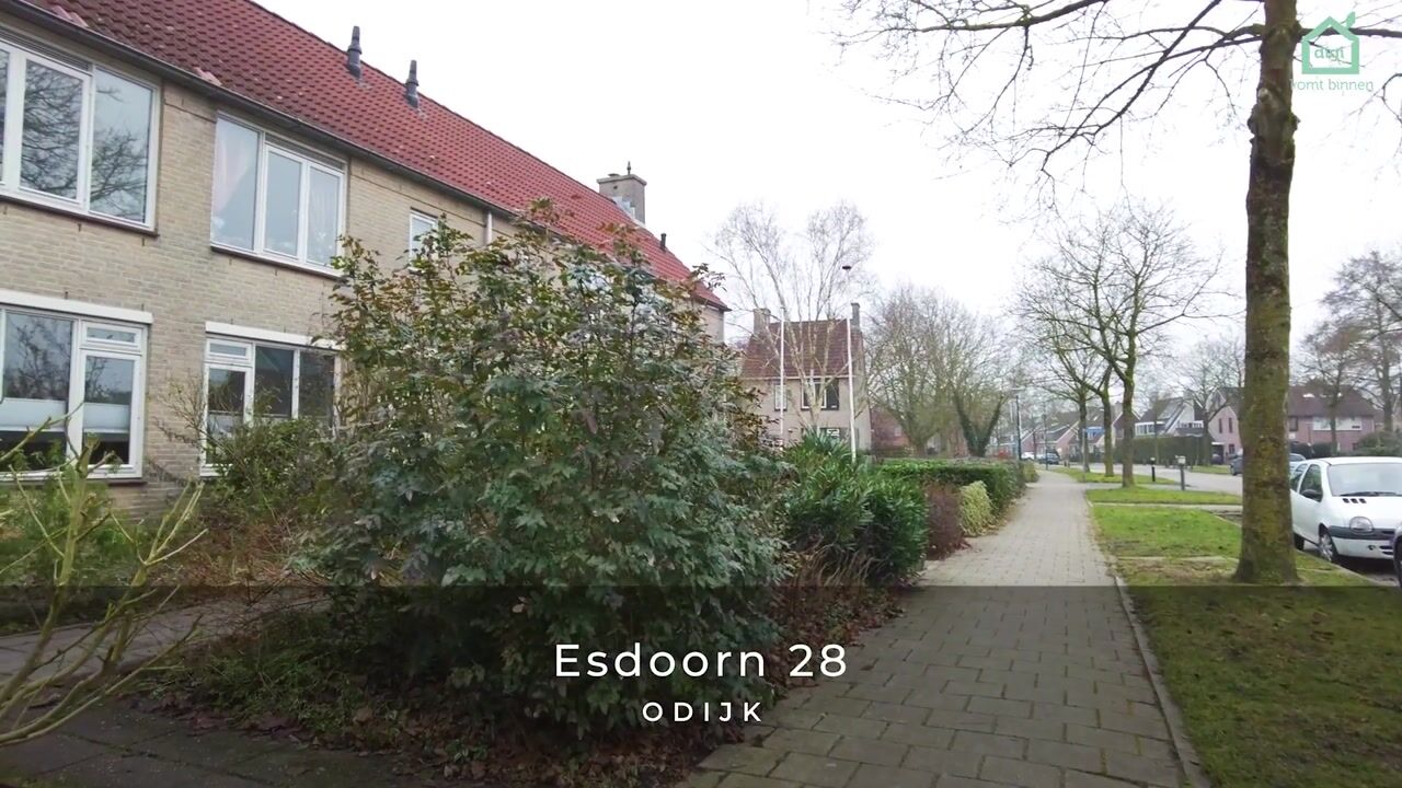 Video van Esdoorn 28