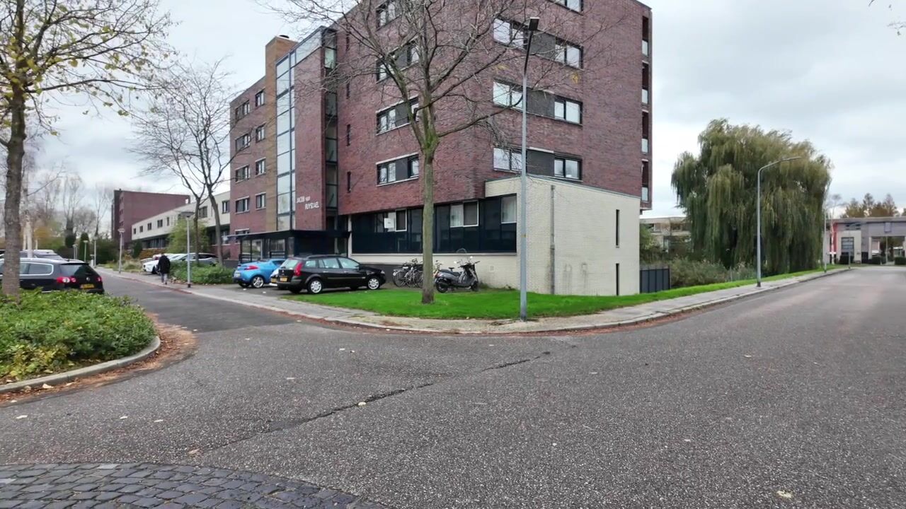 Video of Jacob van Ruysdaelstraat 142