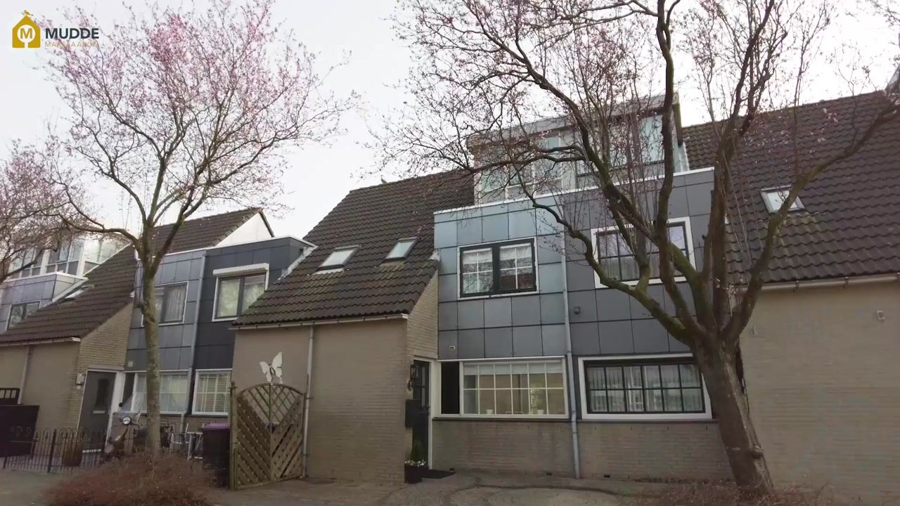 Video van Haya van Someren-Downerpad 51