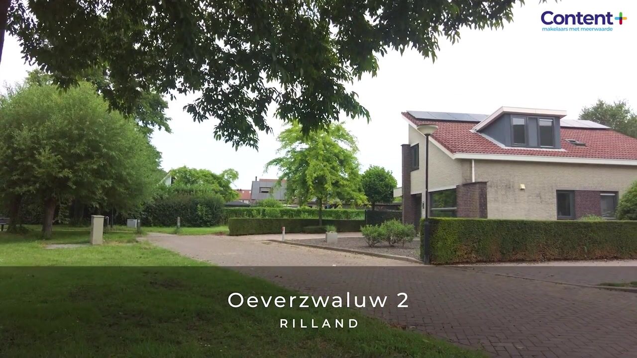 Video van Oeverzwaluw 2