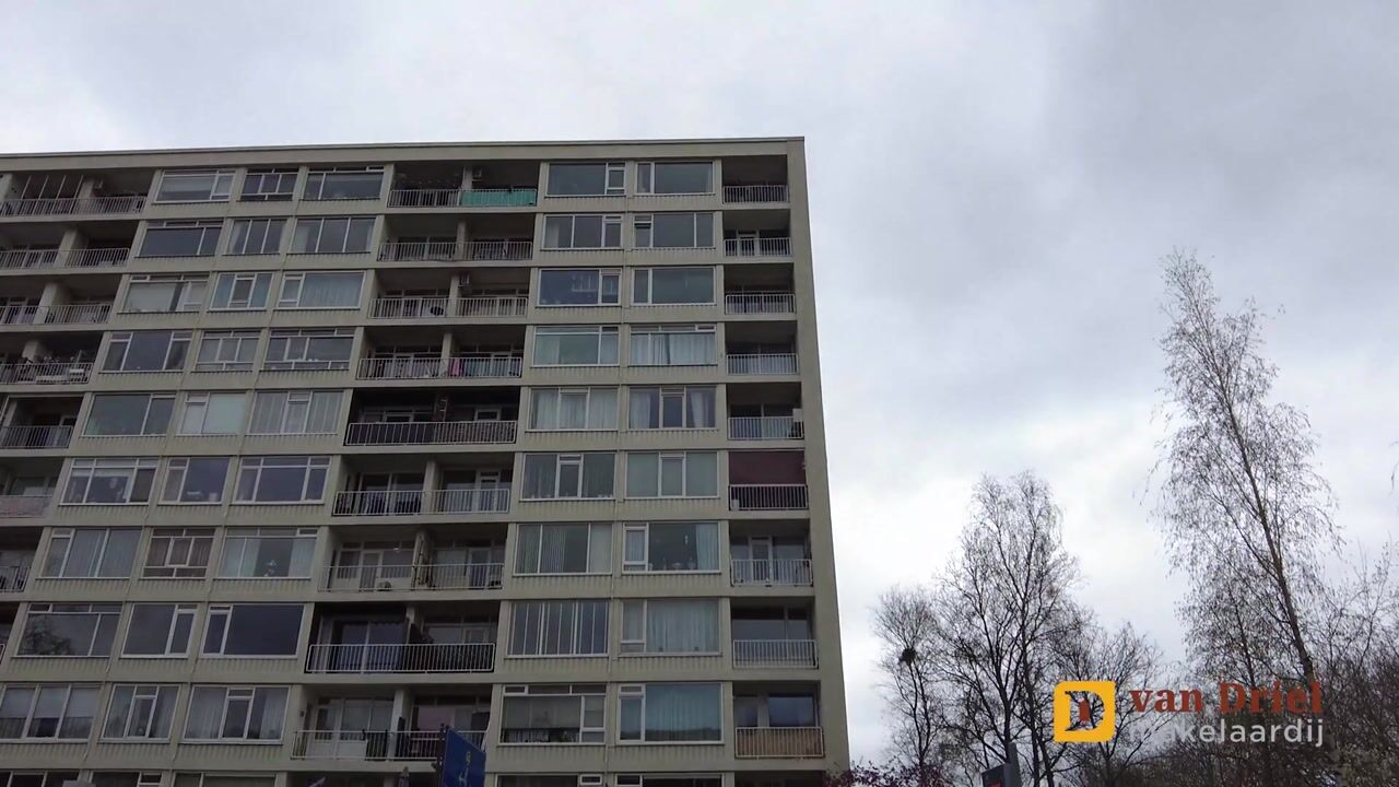 Video van van Hogendorplaan 260