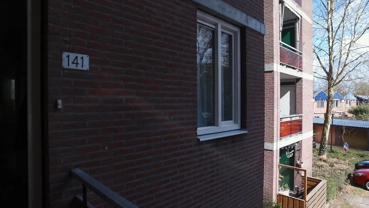 Video of Houtsnijdershorst 141