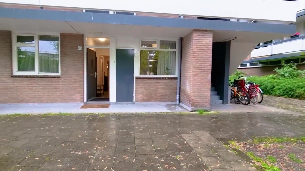 Video van Bolestein 496