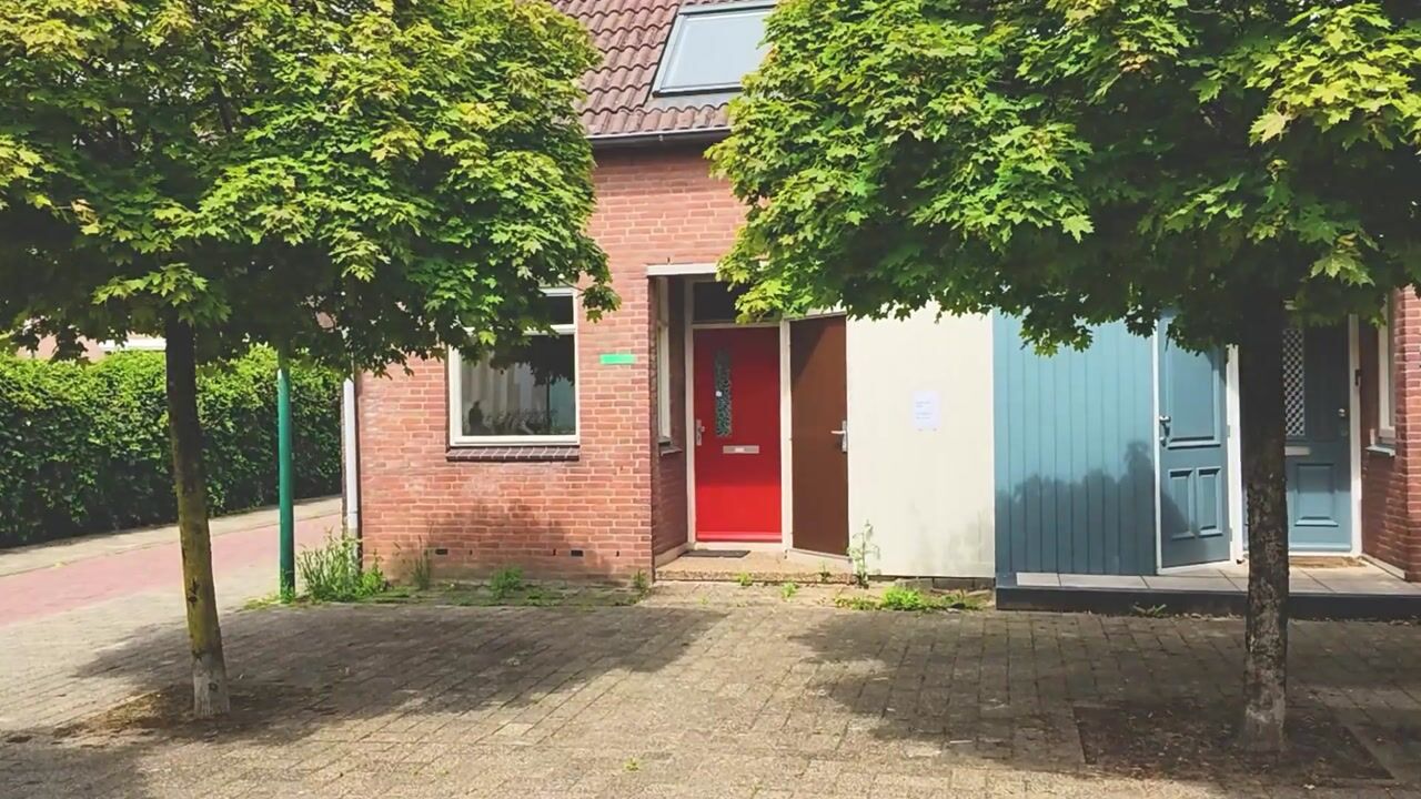 Video of Kamelenspoor 381