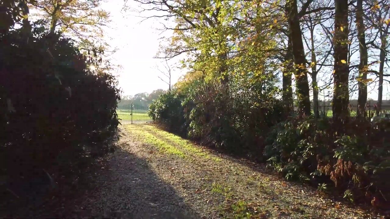 Video van Peelkanaalweg 1