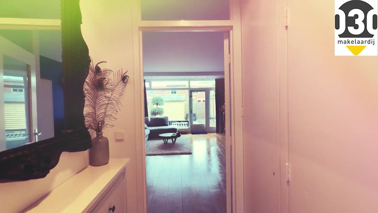 Video of Philips Willemplantsoen 17