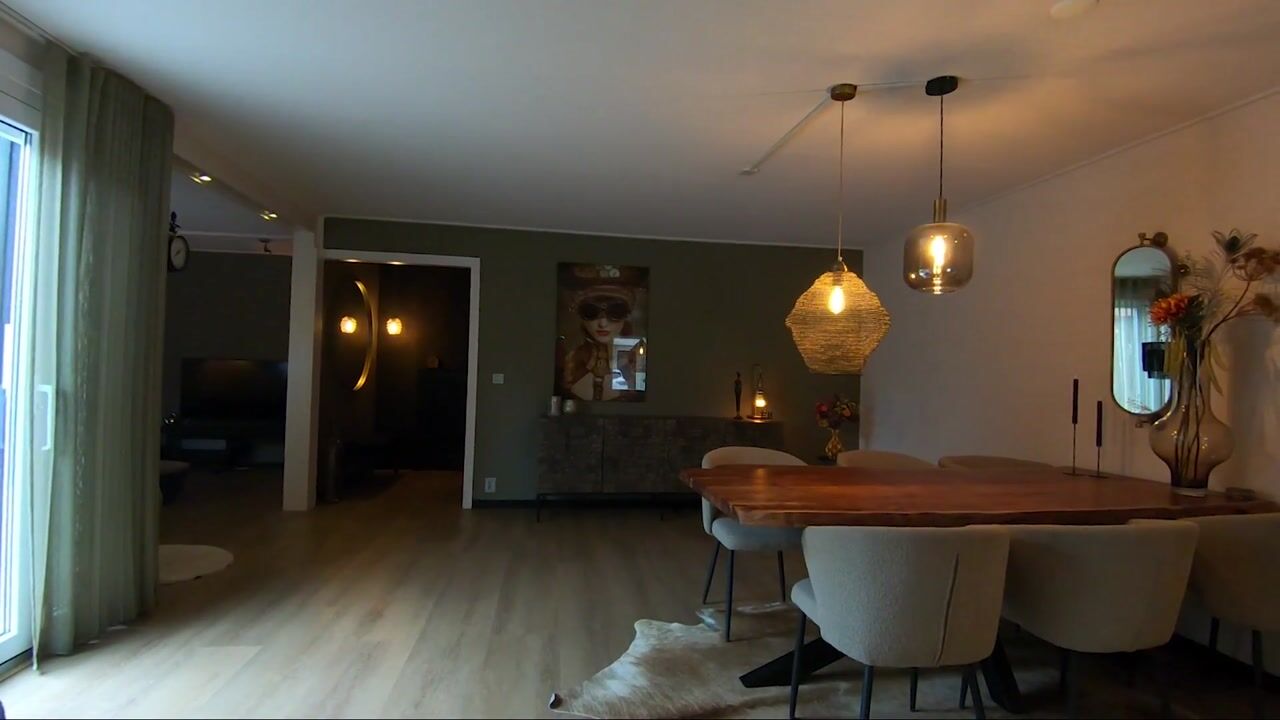 Video of Pluimstraat 51