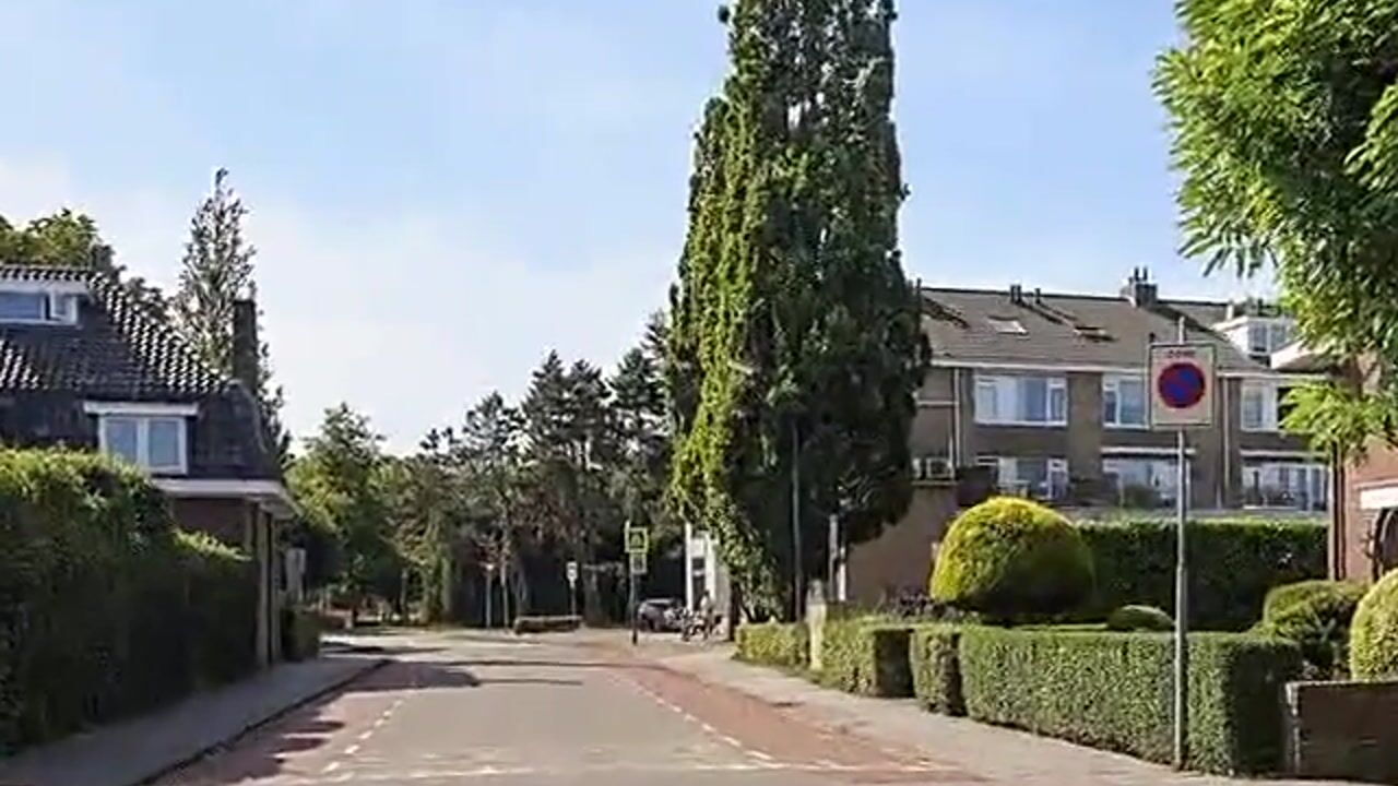 View video of Terburghtweg 1