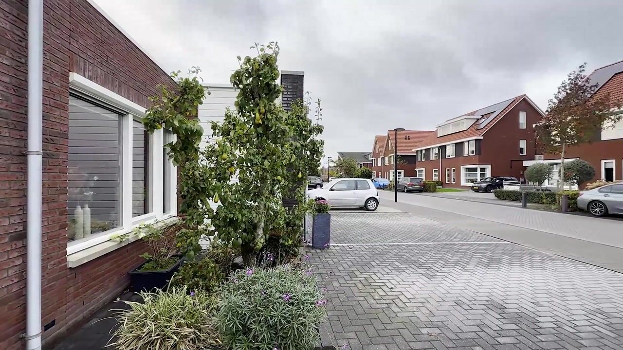 Video of Aambeeld 12