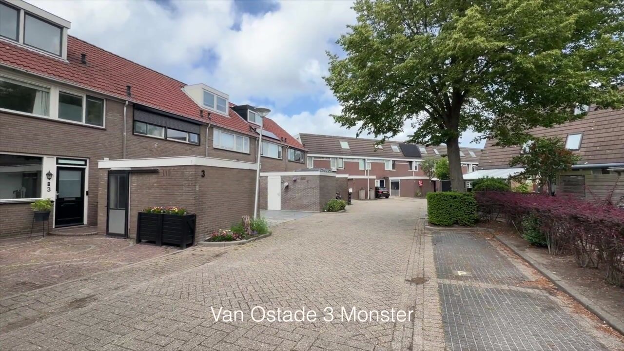 Video of van Ostade 3