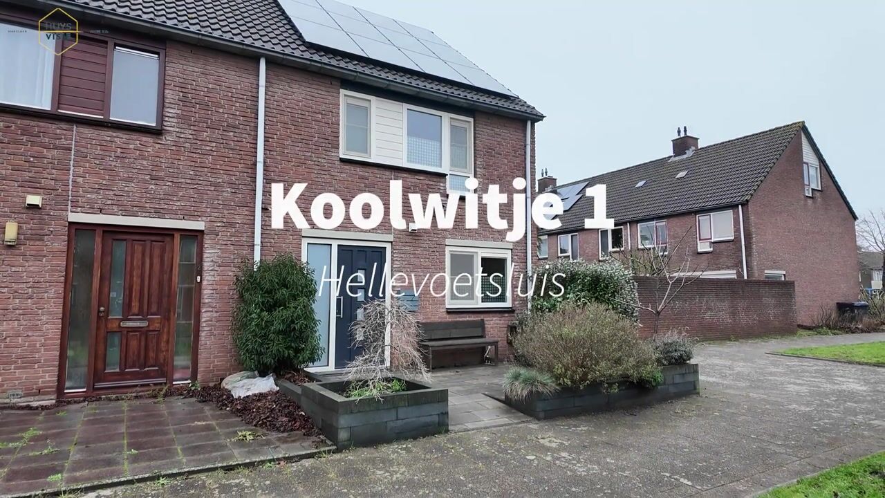 Video van Koolwitje 1