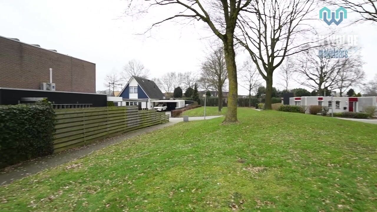 Video van Tortelduif 36