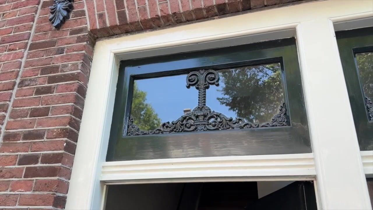 Video van Palmgracht 81