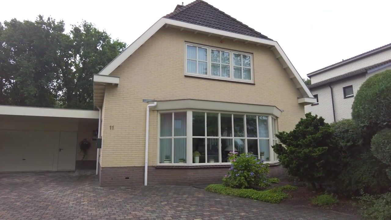 Video van Bilzekruid 11