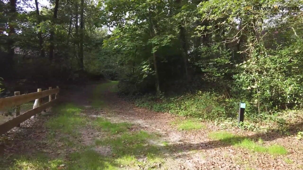 Video van Kastanjelaan 27