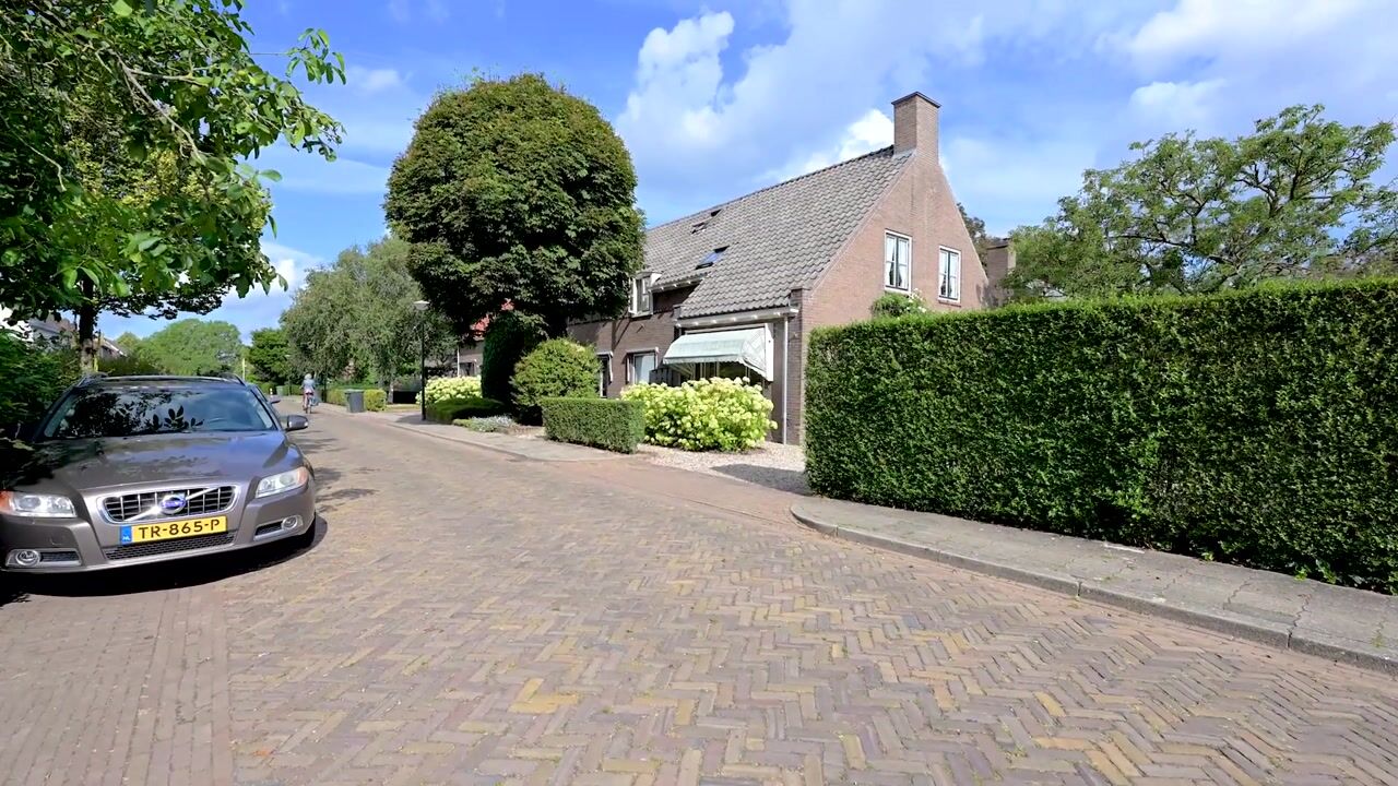 Video van Hoek 10