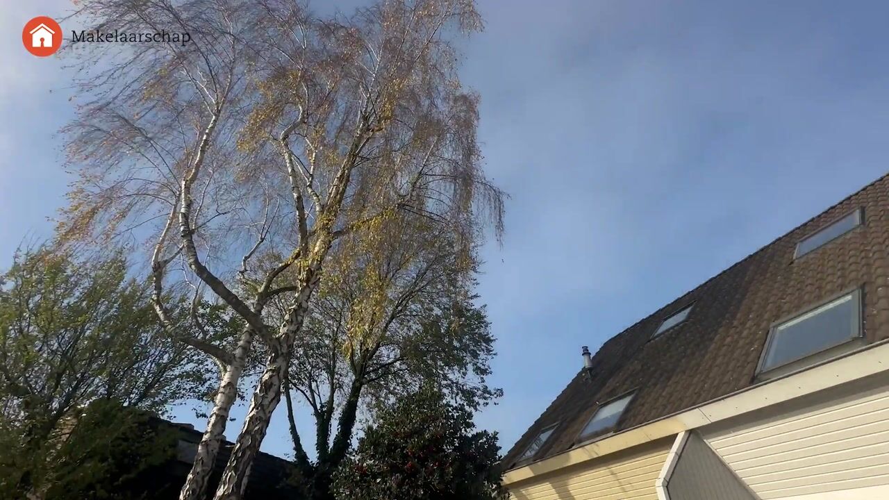 Video van Hagedis 27