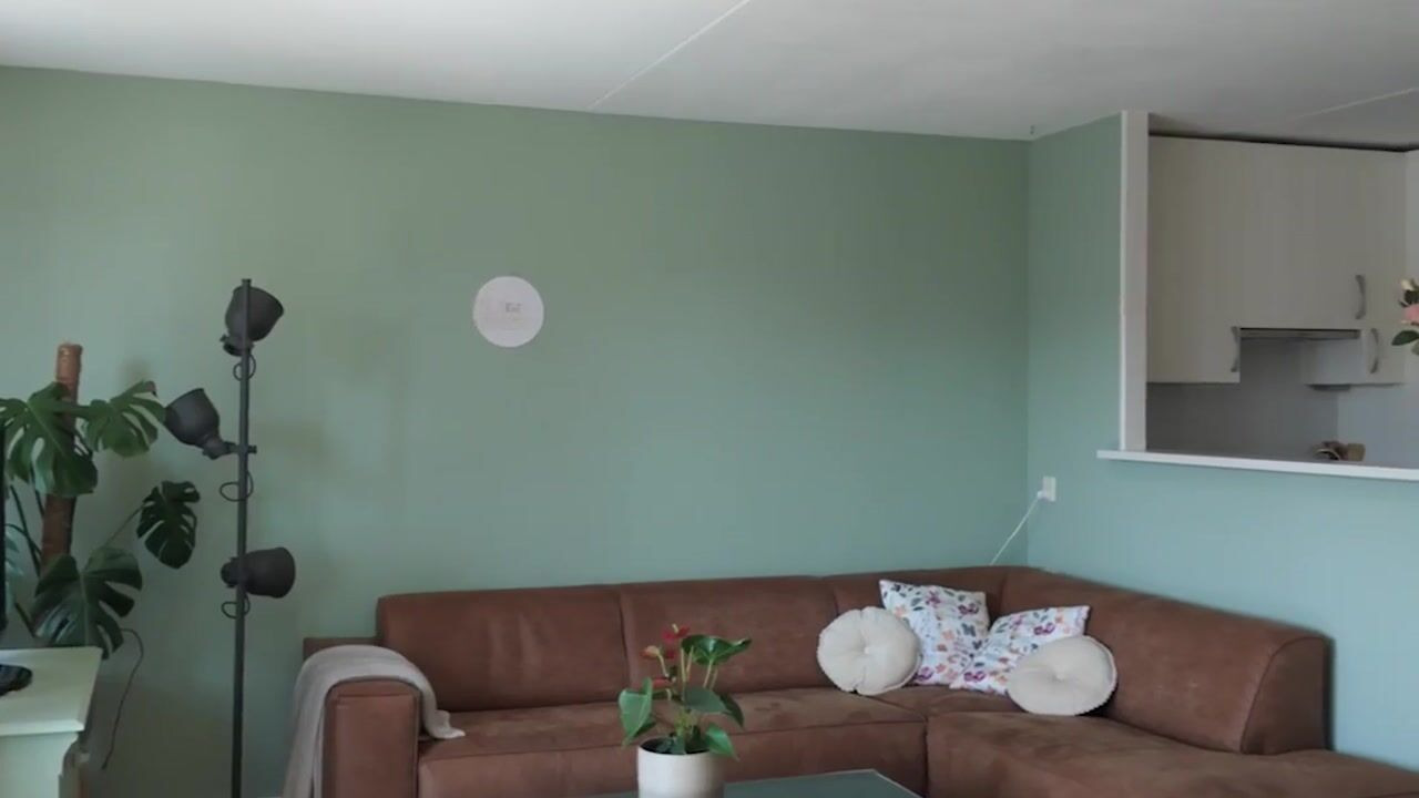 Video of Peulenstraat 217-A