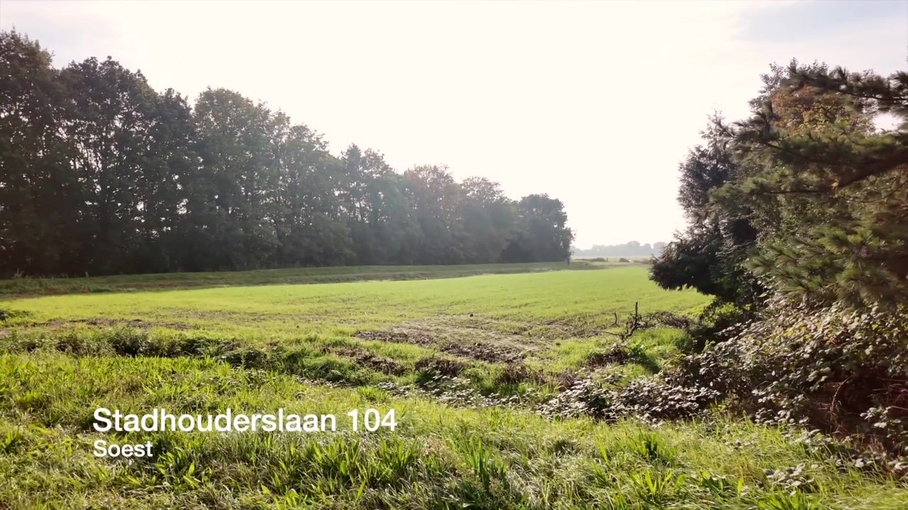Video van Stadhouderslaan 104