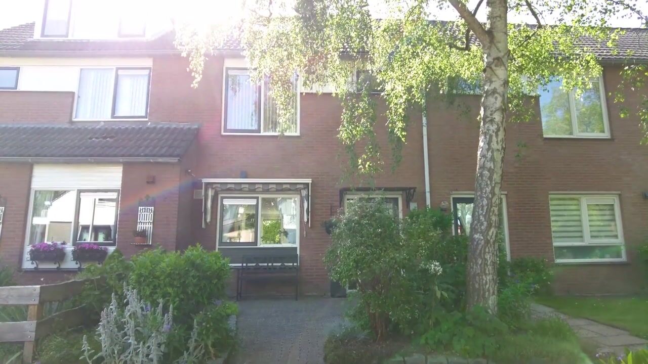 Video van Griendwerker 39