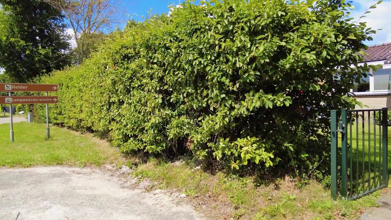 Video of Houtvaartweg 41