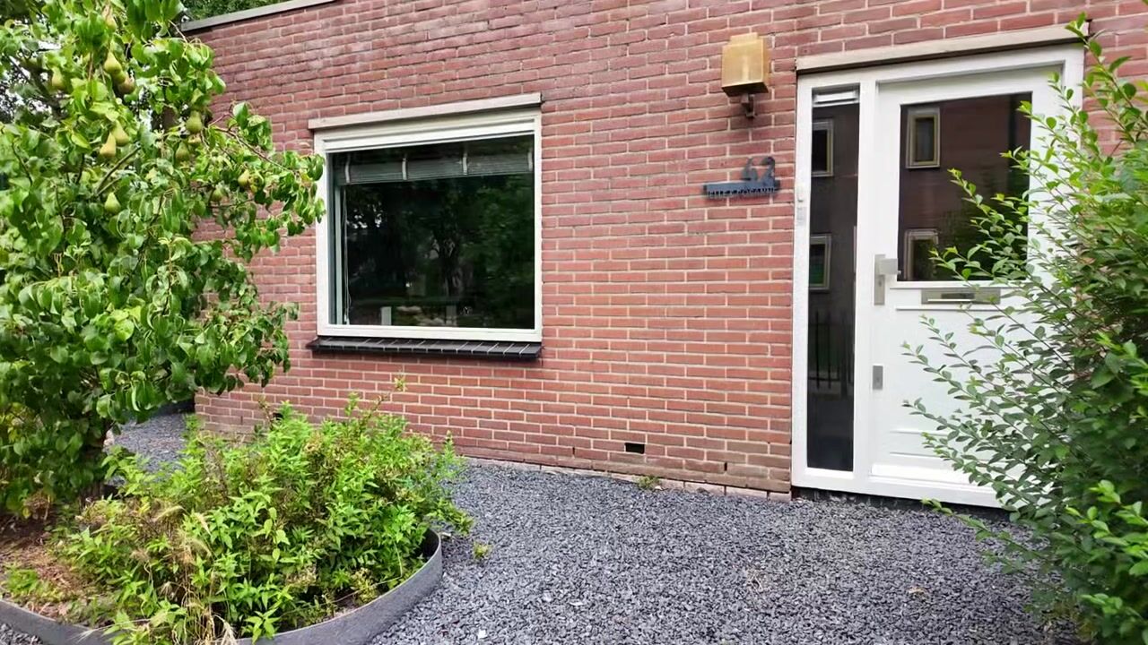 Video van Muurzwaluw 42
