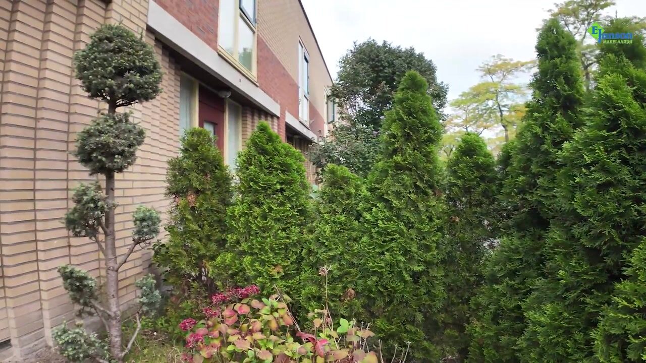 Video van Strijplaan 275