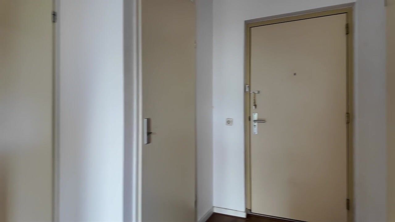 Video van Antje Breijerstraat 217