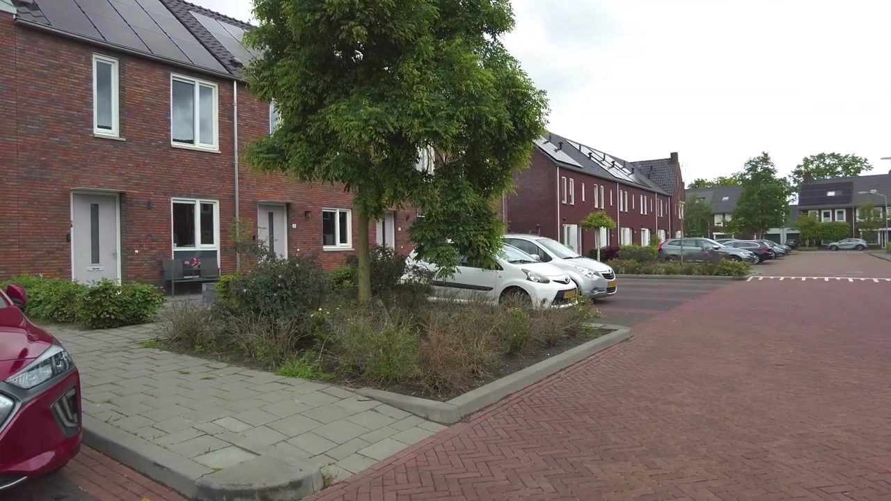 Video of Akkermunt 20