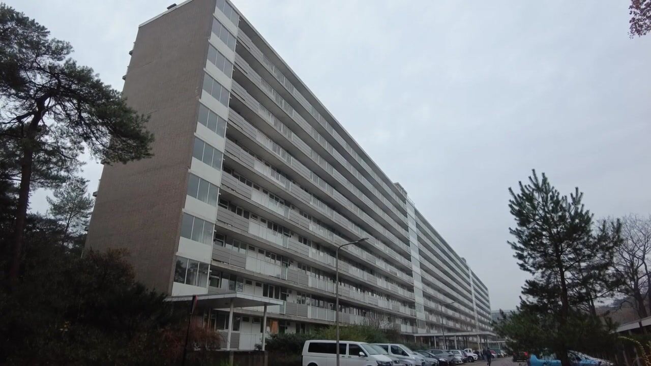 Video of Anna Paulownalaan 170