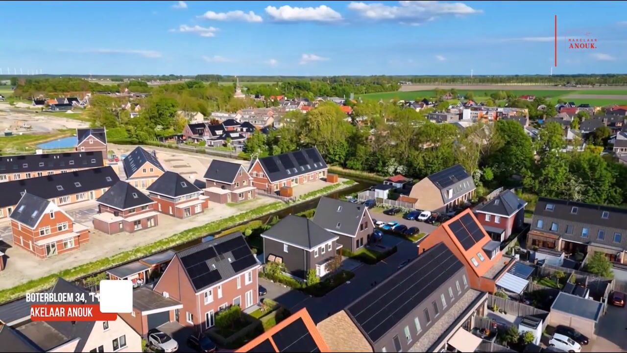 Video van Boterbloem 34