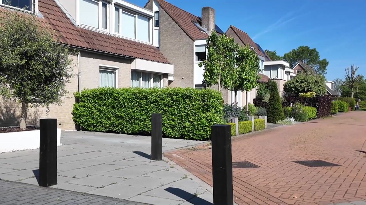 Video of Waterlelie 2