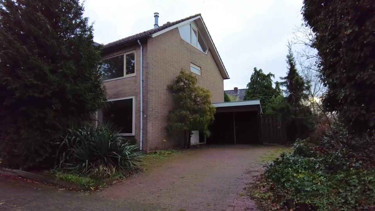 Video van Wandscheerstraat 39