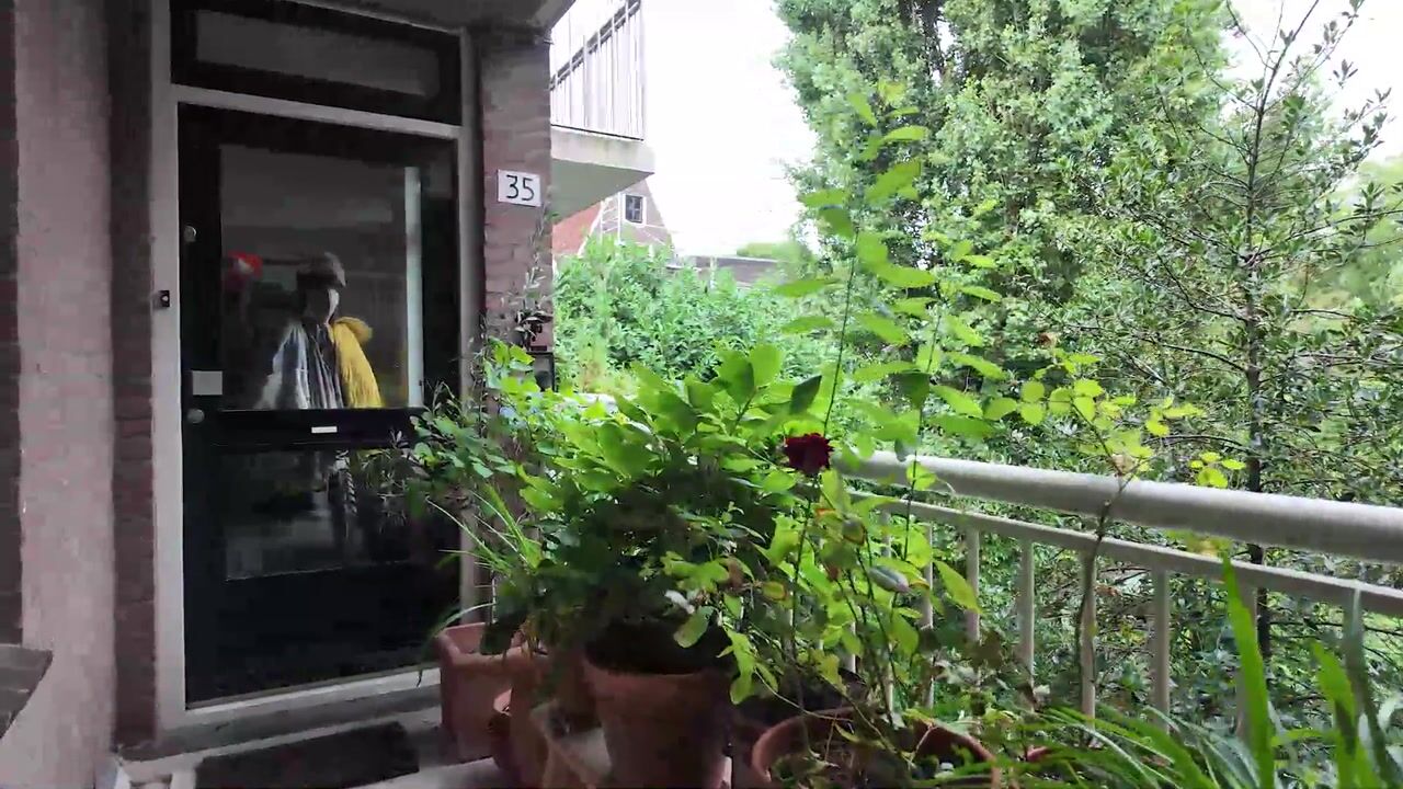 Video van Madelievenstraat 35