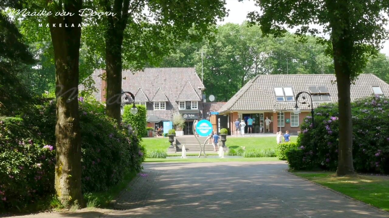 Video van Immenweg 15-336