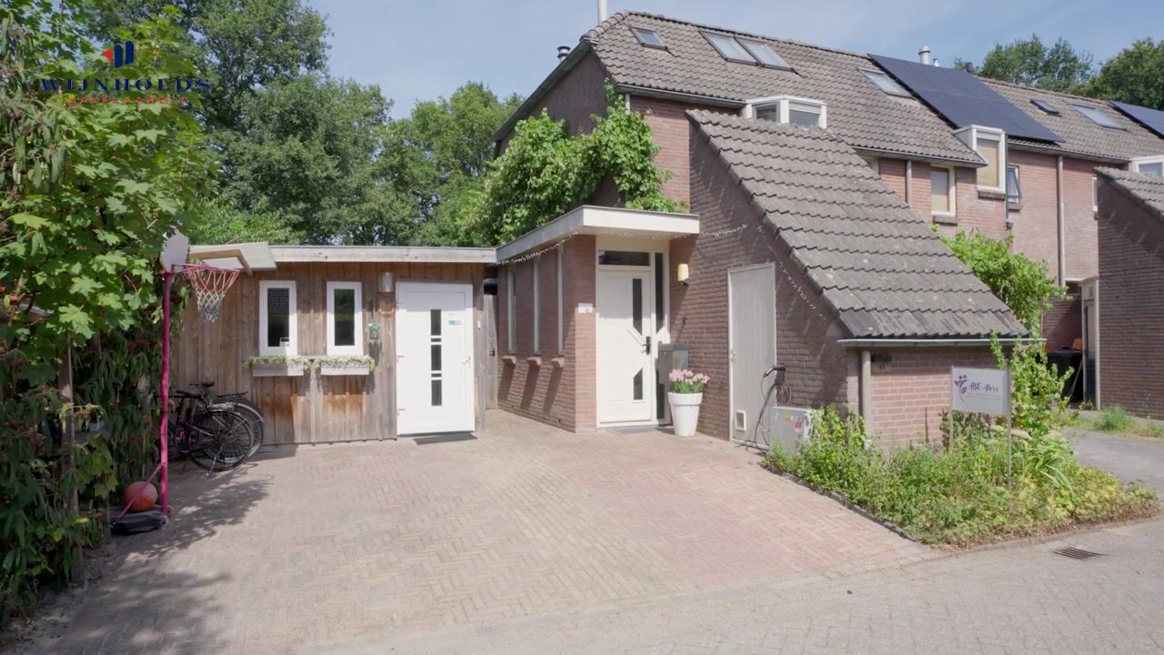 Video van Dingspil 45
