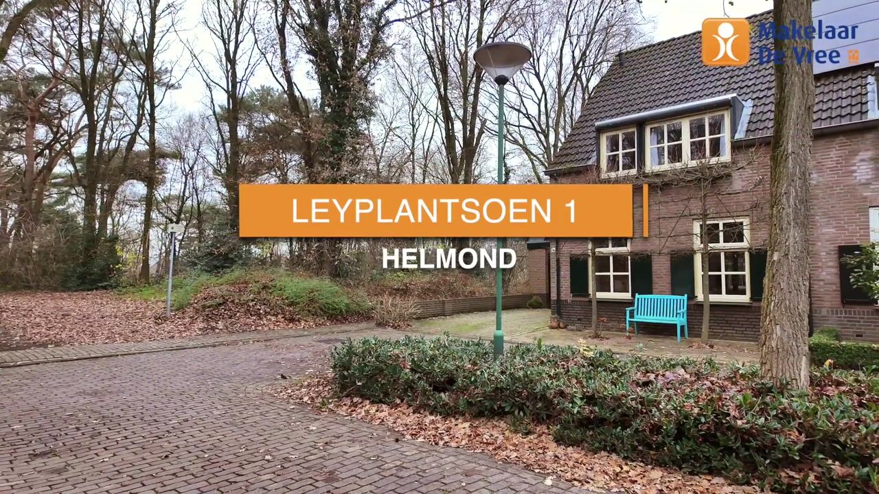 Bekijk video van Leyplantsoen 1