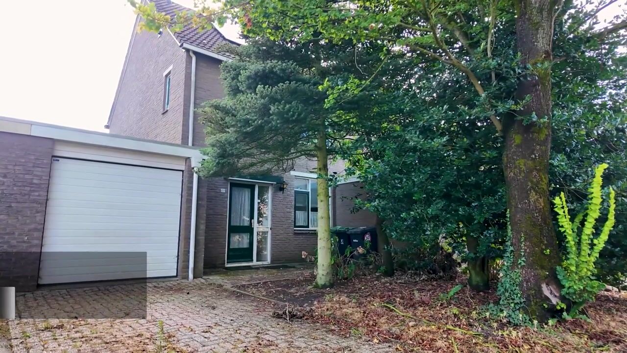 Video of Spantenzetter 49