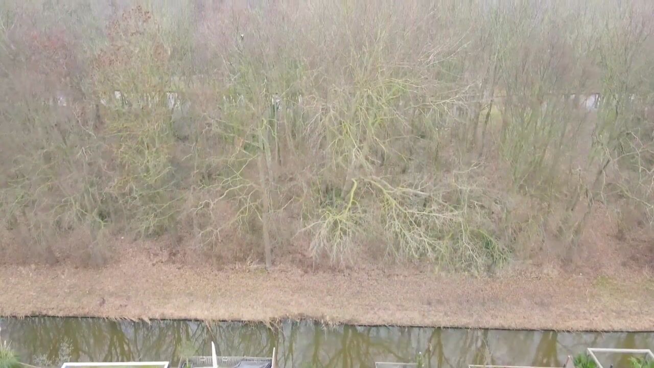 Video van Markgraaflaan 109