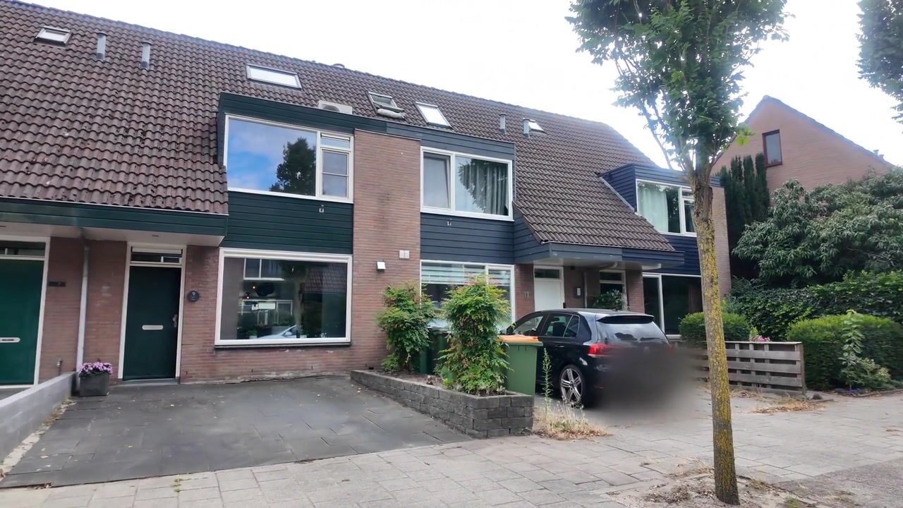 Video van Muurzwaluw 9