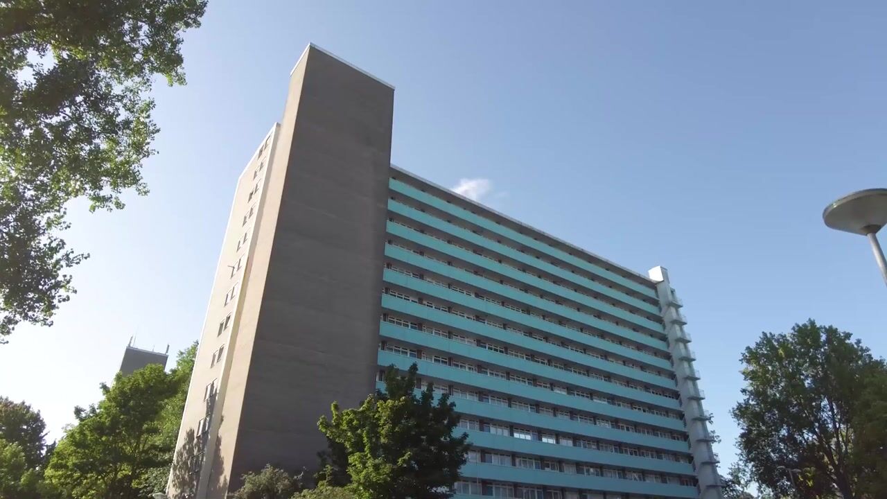 Video van Langswater 849