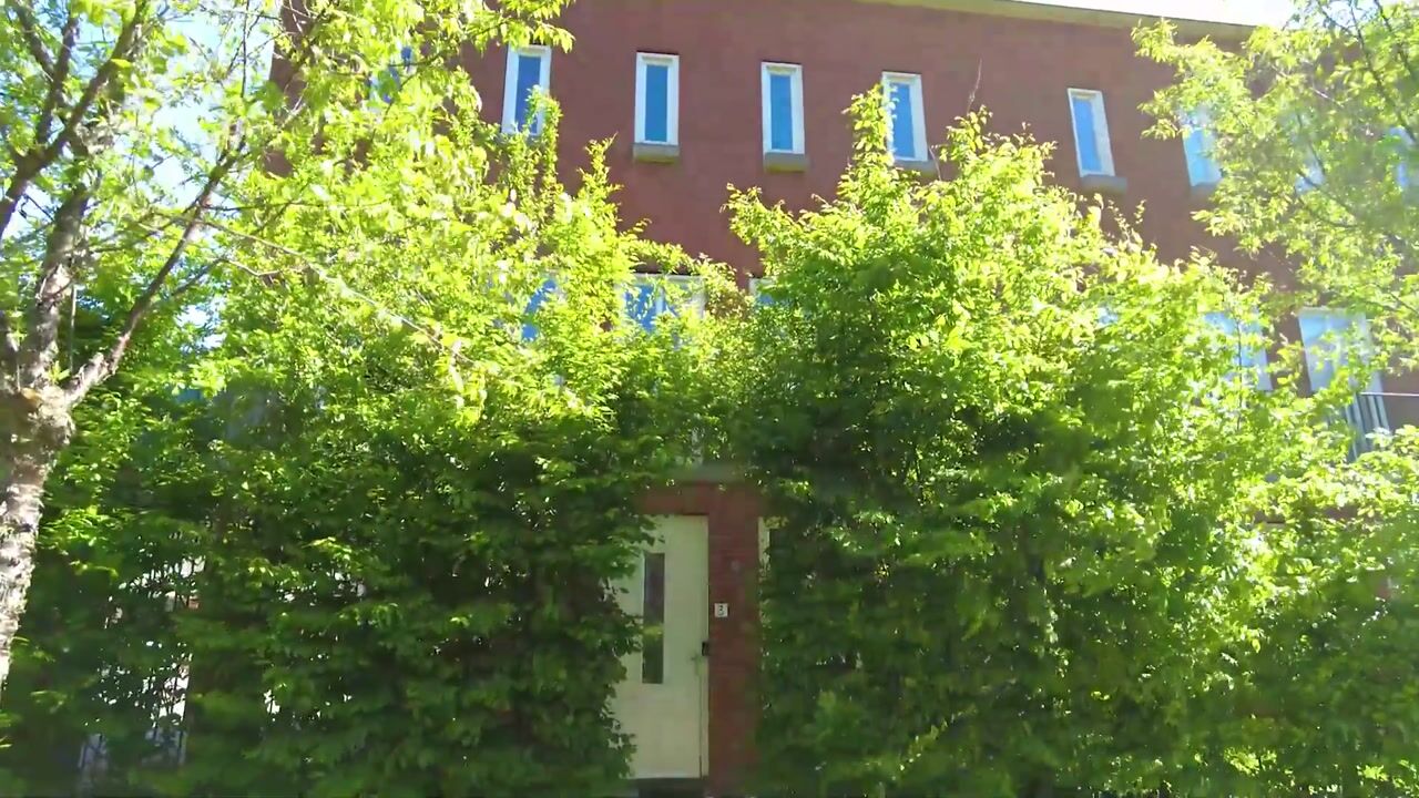 Video van Gilze-Rijenhof 3