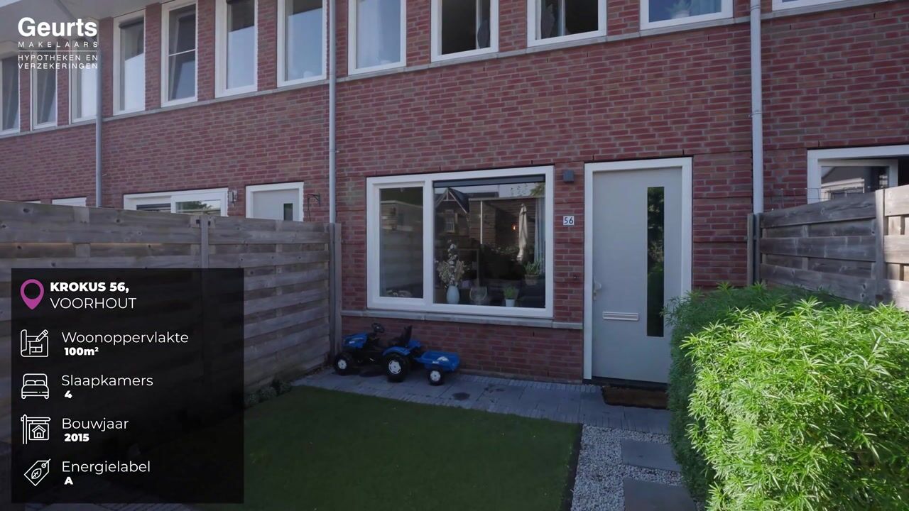 Video van Krokus 56