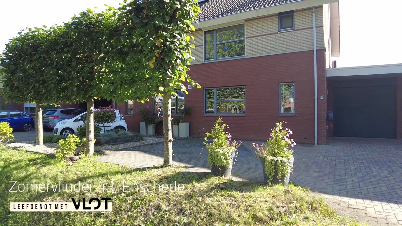 Video of Zomervlinder 43