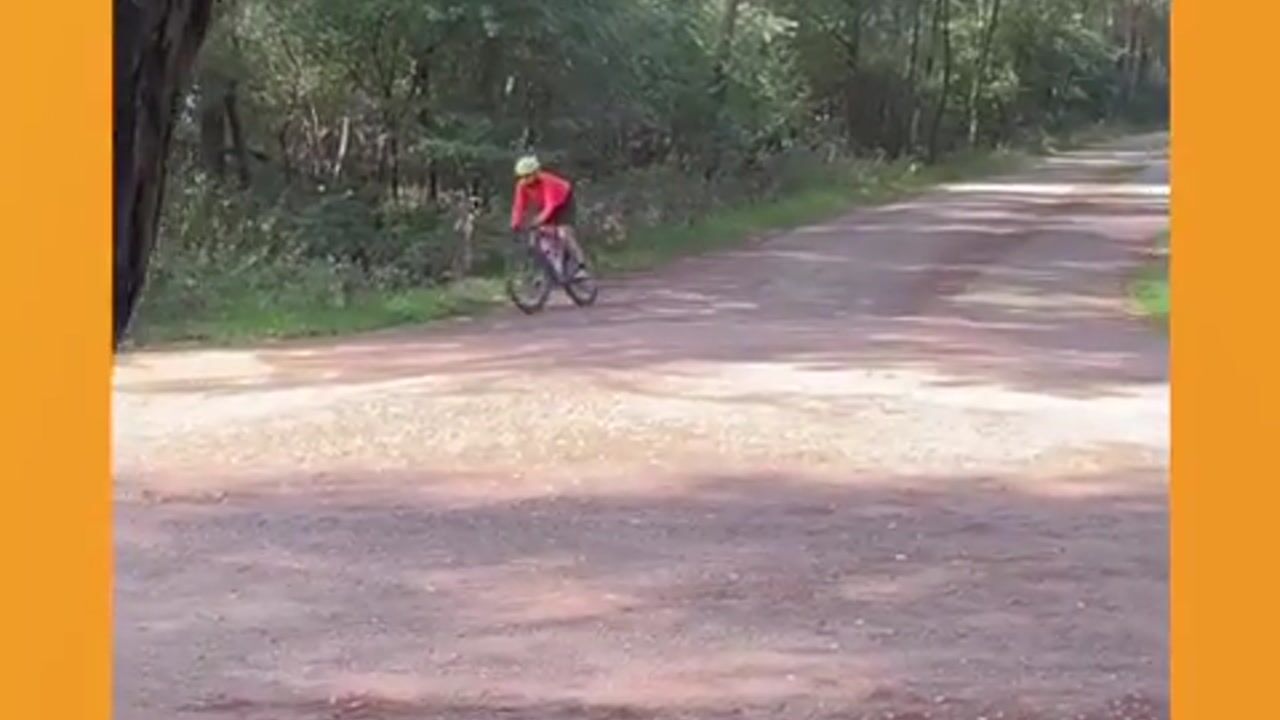 Video van Vrijheidslaan 24